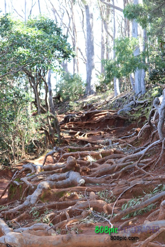 Hike a new trail in Hawaii